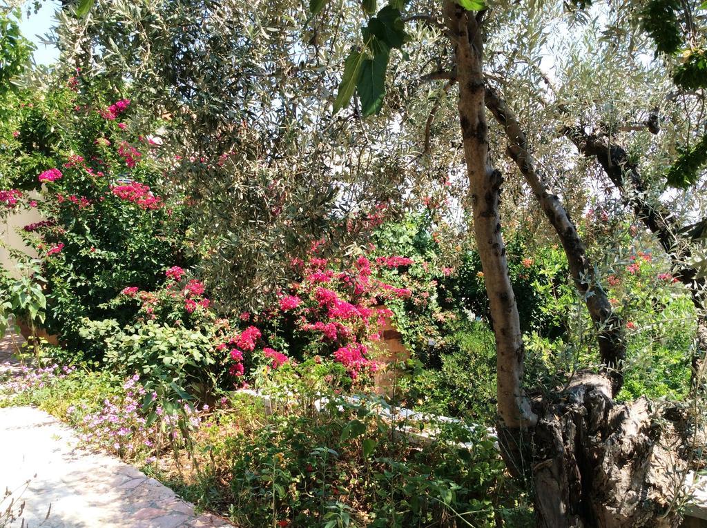 Angelica Villas Hotel Apartments Epidaurus Exteriör bild
