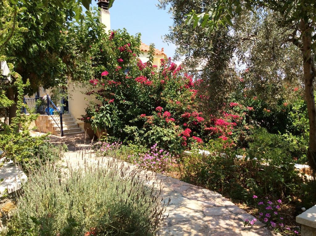 Angelica Villas Hotel Apartments Epidaurus Exteriör bild