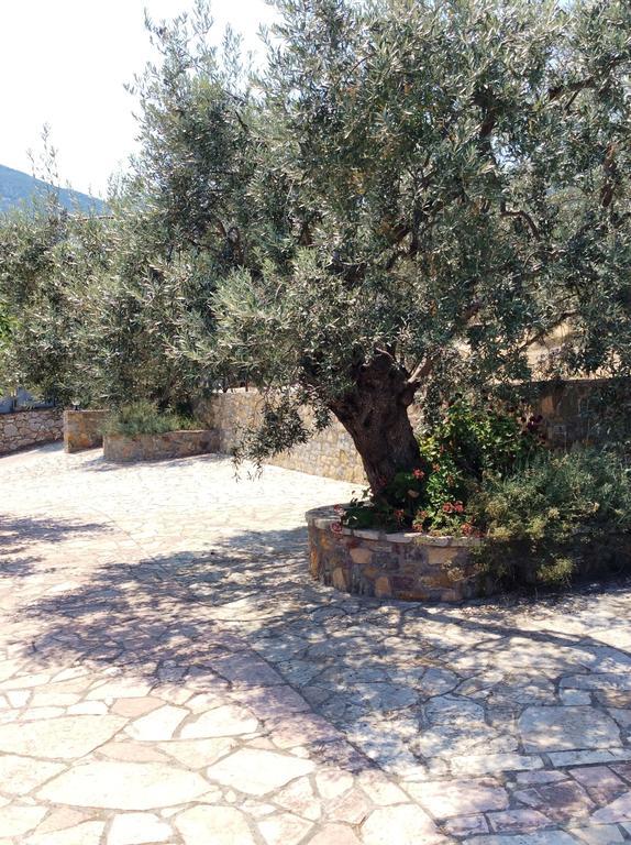 Angelica Villas Hotel Apartments Epidaurus Exteriör bild