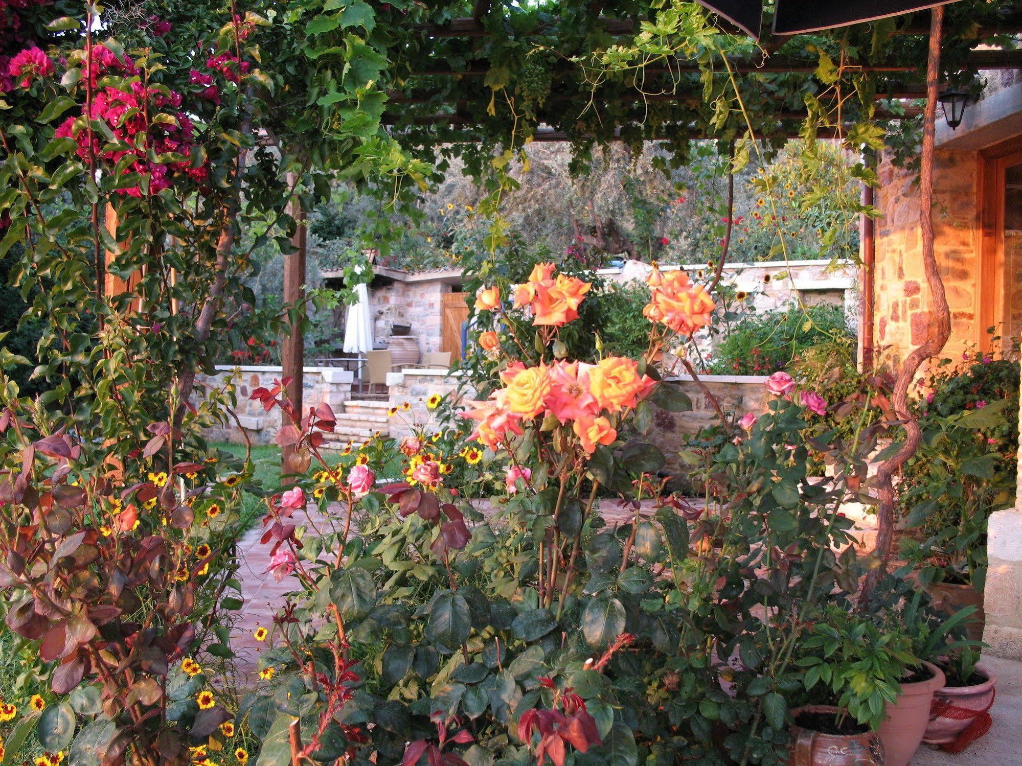 Angelica Villas Hotel Apartments Epidaurus Exteriör bild